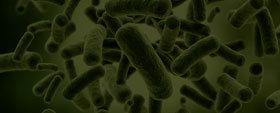 Microbes in Human Welfare