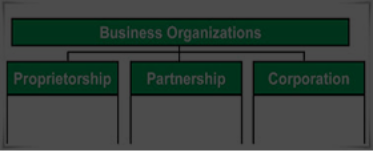 Forms of Business Organisations